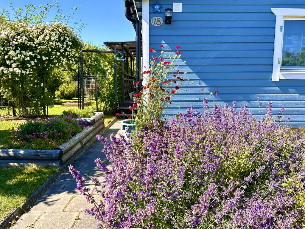 hus på listudden