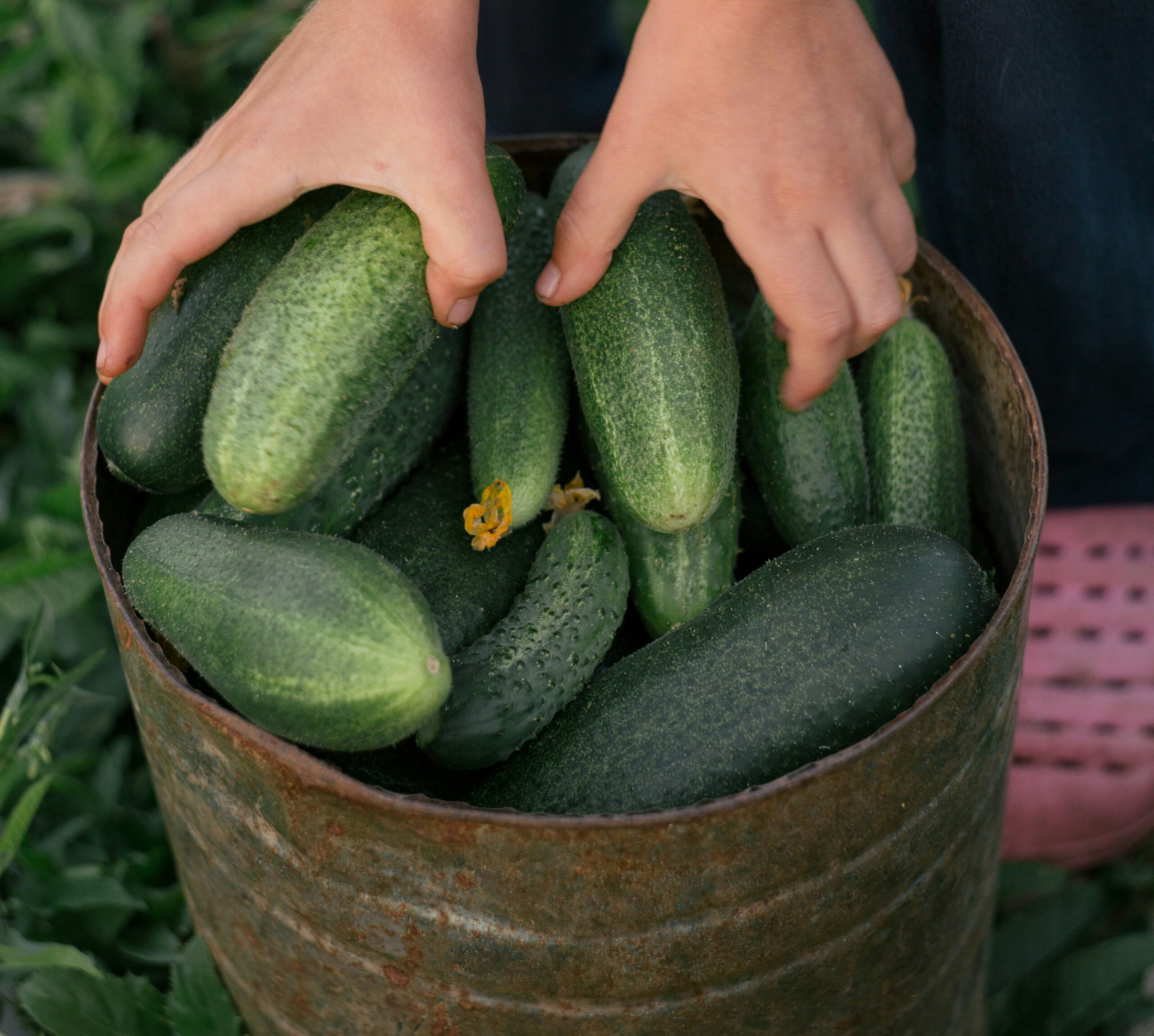 Tack för att ni kom