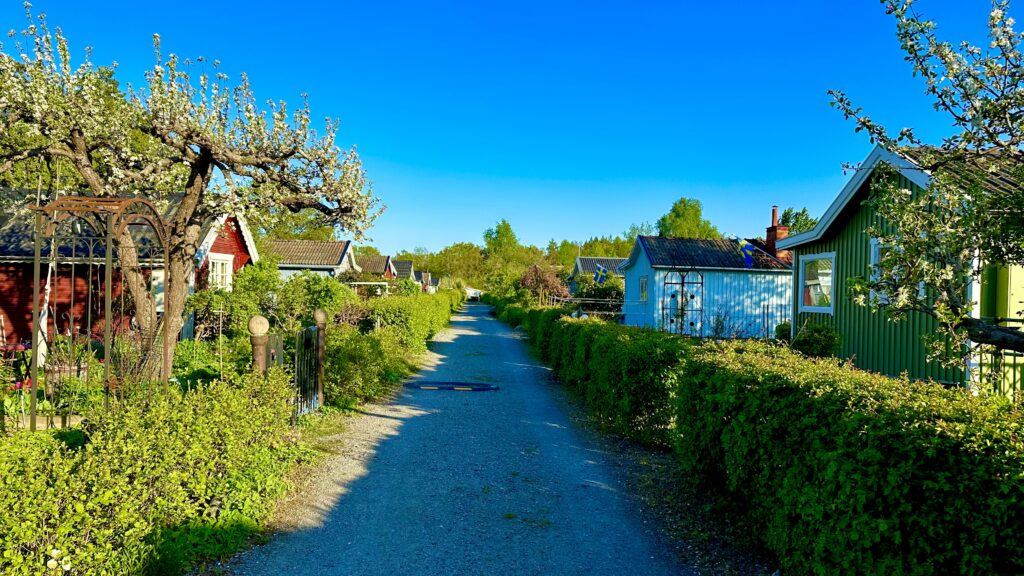 Listuddens koloniområde kolonistugor och väg
