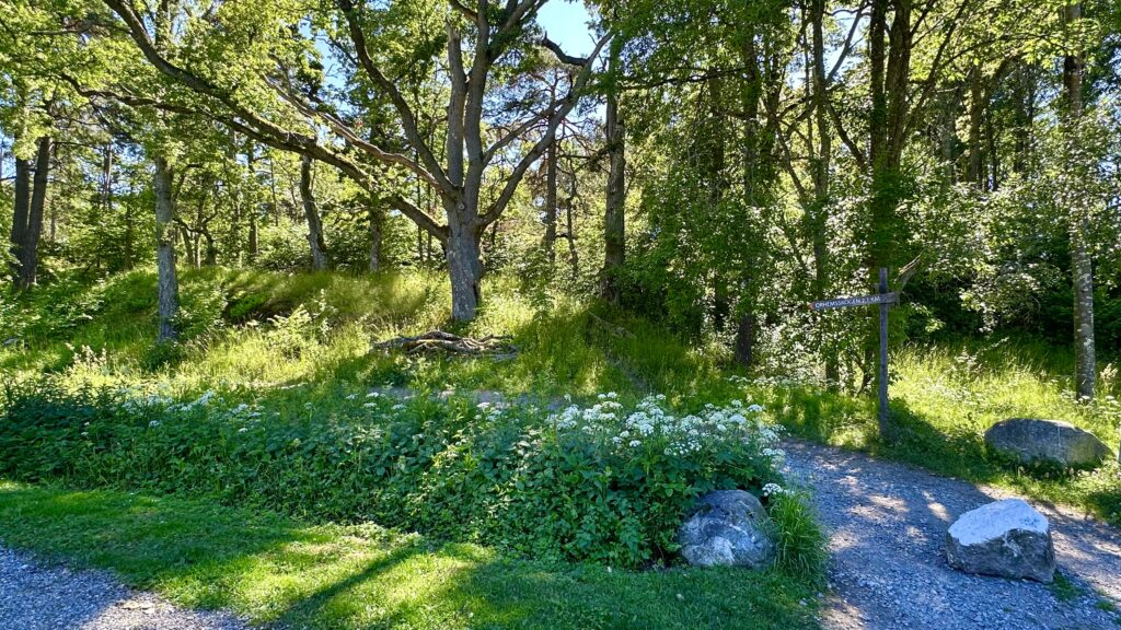 En av listuddens många dungar